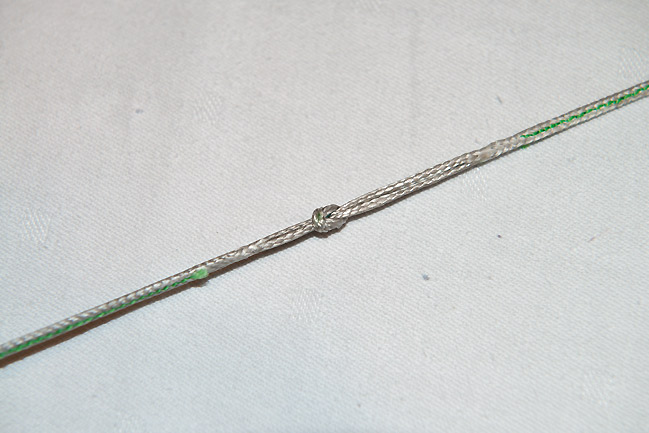 ループ・イン・ライザー