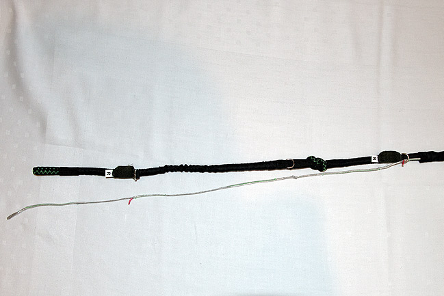 ループ・イン・ライザー