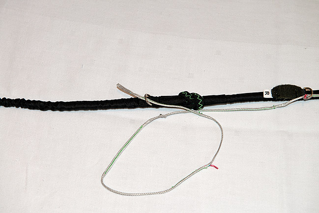 ループ・イン・ライザー