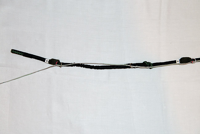 ループ・イン・ライザー