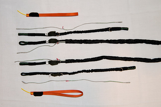 ループ・イン・ライザー