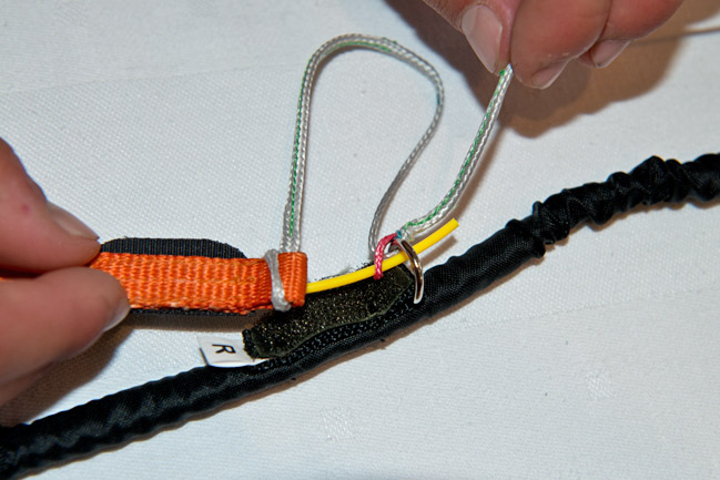 ループ・イン・ライザー