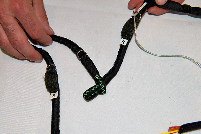 ループ・イン・ライザー