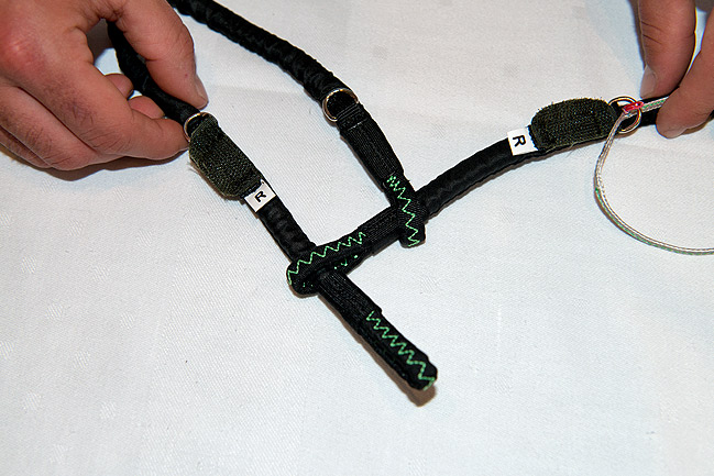 ループ・イン・ライザー