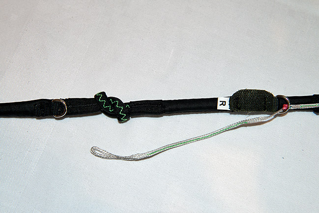 ループ・イン・ライザー